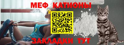 дживик Гатчина