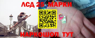 стафф Гай