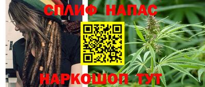 дживик Гатчина