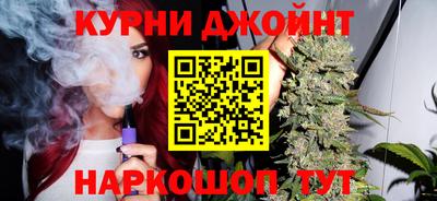стафф Гай