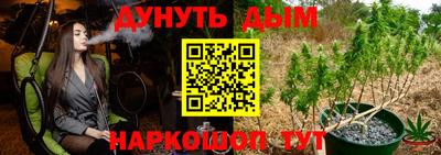 стафф Гай
