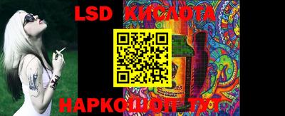 стафф Гай