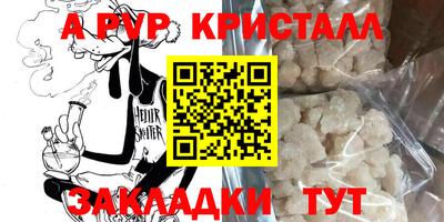 стафф Гай