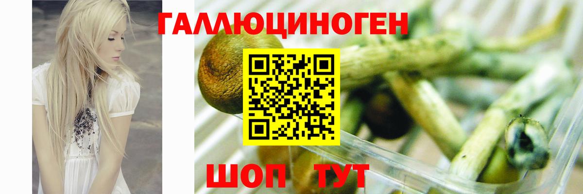 Псилоцибиновые грибы MAGIC MUSHROOMS  Псилоцибиновые грибы Magic Shrooms  Гусь-Хрустальный  Вход с VPN 