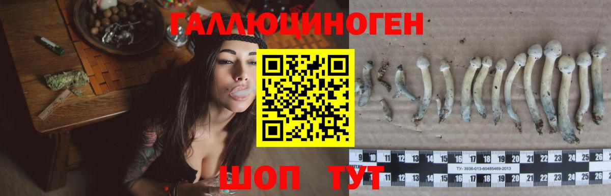 Галлюциногенные грибы мицелий  Гусь-Хрустальный  Галлюциногенные грибы ЛСД 